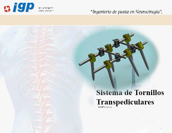 sistema transpedicular